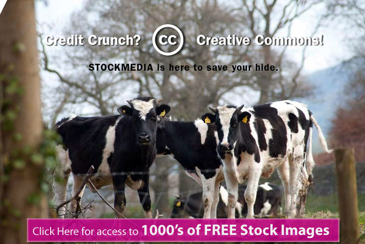stockmedia.cc free untill to cows come home
